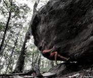 Aaron Parlier on Lifestyles V9